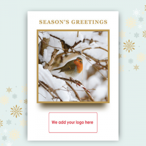 Christmas Cards for Businesses